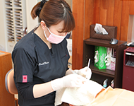 保定